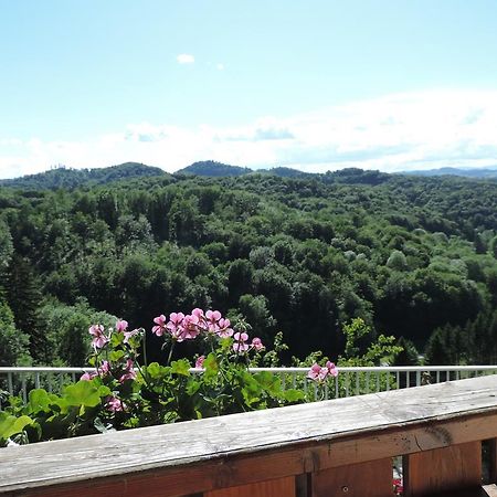Weingut Gaestezimmer Gruber Эренхаузен Экстерьер фото
